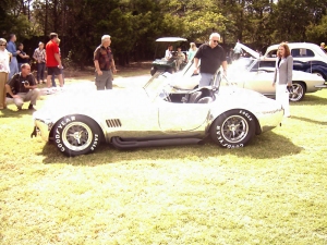 Aluminum Cobra